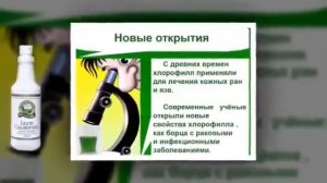 Хлорофилл NSP