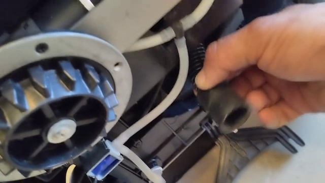 19 декабря 2024 г. смотреть онлайн