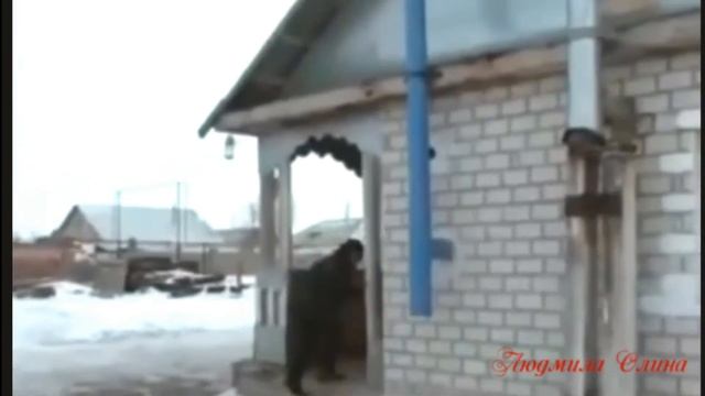Деревенские страдания.. прикольн смотреть онлайн