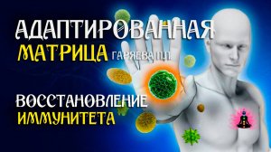 Матрица восстановление иммунитета   🌀 Адаптированная матрица   ☀️ SoftRadio.ru