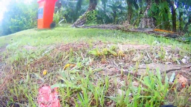 Rc 4wd monster truck смотреть онлайн