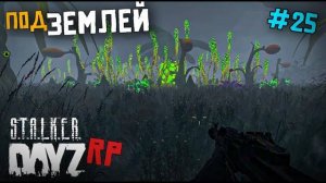 ПУТЬ ПОД ЗЕМЛЮ. DAYZ STALKER RP 25 серия (Перезалив MALAMADROS LIFE)