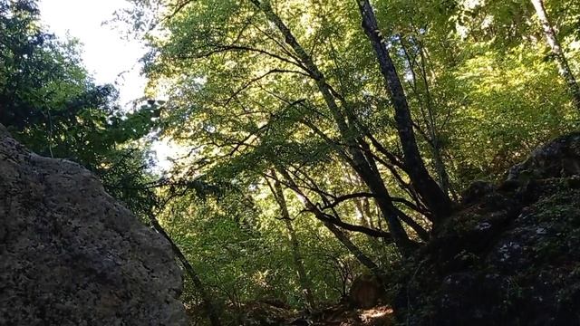 Тисовый водопад в Большом каньоне. 27.08.23. смотреть онлайн