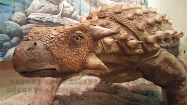 Таларур  Talarurus Plicatospineus