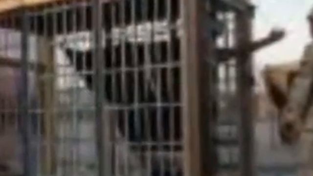 Another Day in Prison смотреть онлайн