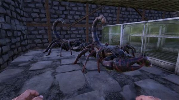 Pulmonoscorpius and Araneo Giant Spider Educational Special [9]