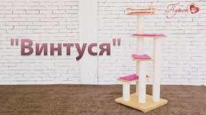 Процесс сборки комплекса «Винтуся»