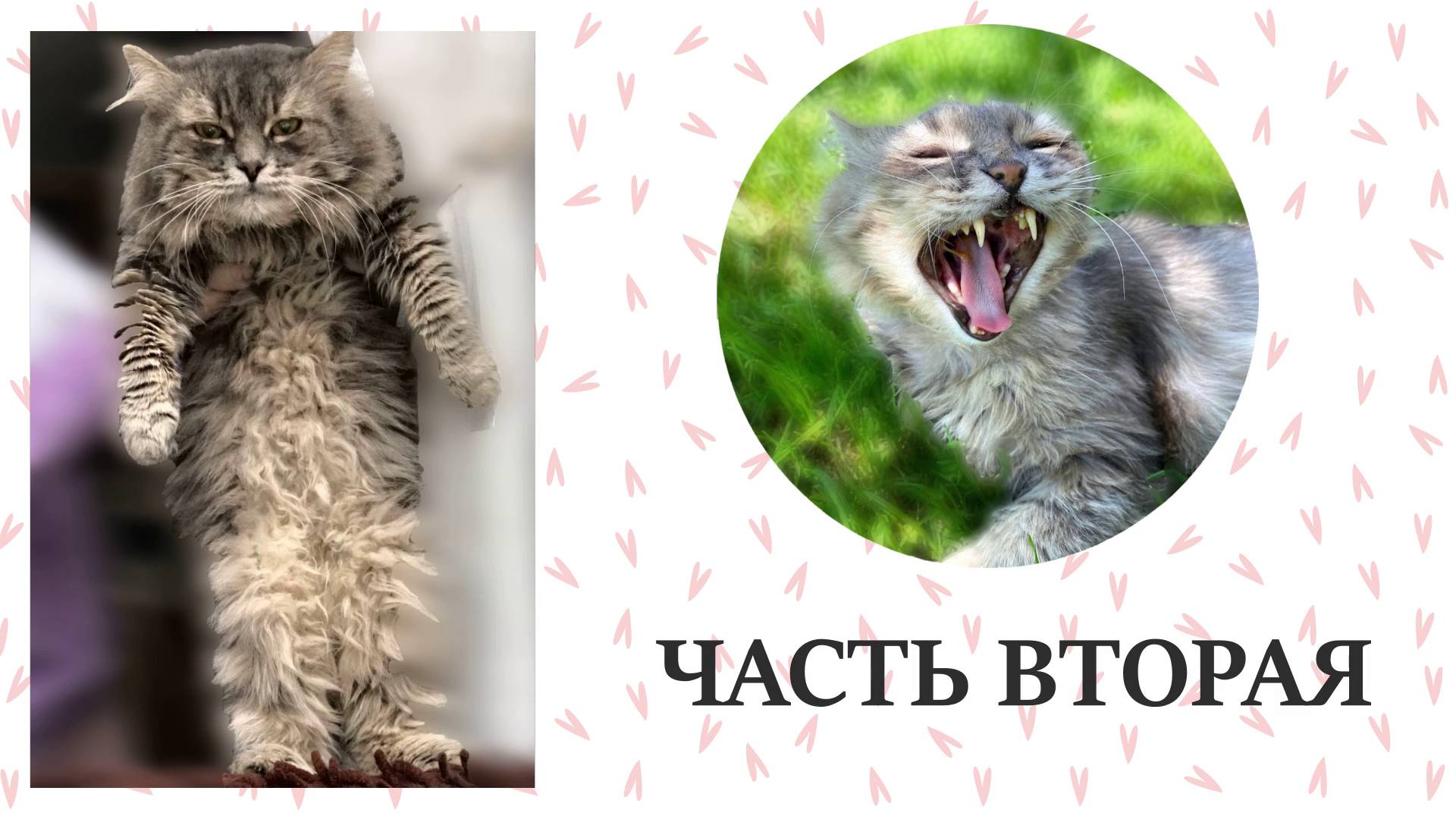 ФИЛЬМ Ласкун 2 часть 2021 г смотреть онлайн