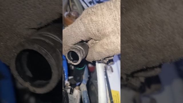 НА РАЗБОРЕ CUMMINS ISF 2.8 ☎️ +79370738633 Михаил #кириллов #газель #авторазбор #cummins #запчасти смотреть онлайн