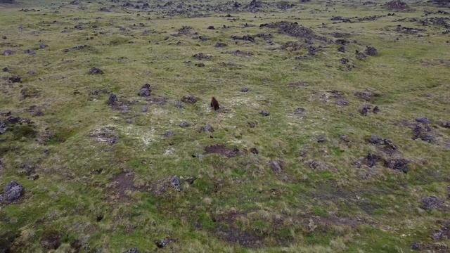 Горный поход по Камчатке