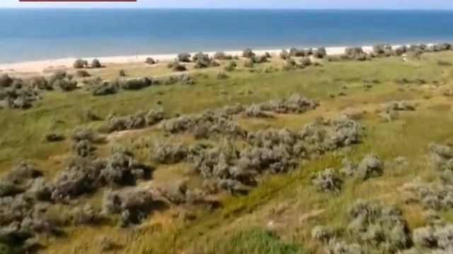 Я люблю Бердянск - Кривунь смотреть онлайн
