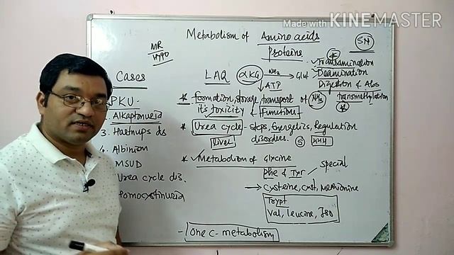 1. Important topics in metabolism of Amino acids and Proteins смотреть онлайн