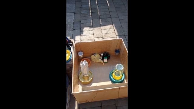 ПОИЛОЧКИ ДЛЯ ГУСЯТ из подручных средств смотреть онлайн