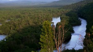 Природа Приморского края