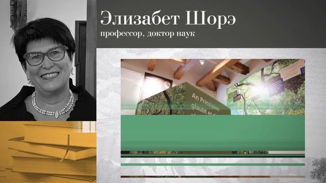 Профайл Шоре смотреть онлайн