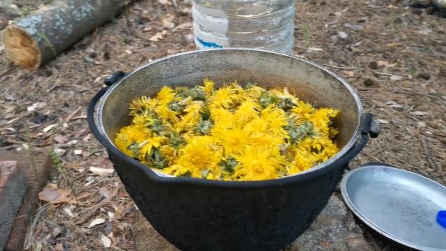 Варенье из одуванчиков смотреть онлайн