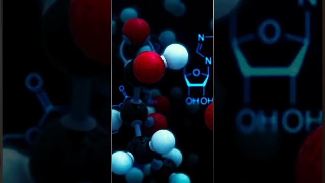 ЭТО ИЗБАВИТ ТЕБЯ ОТ ЗАБОЛЕВАНИЙ