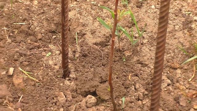 Организую полив огорода \\ Уличный столик смотреть онлайн