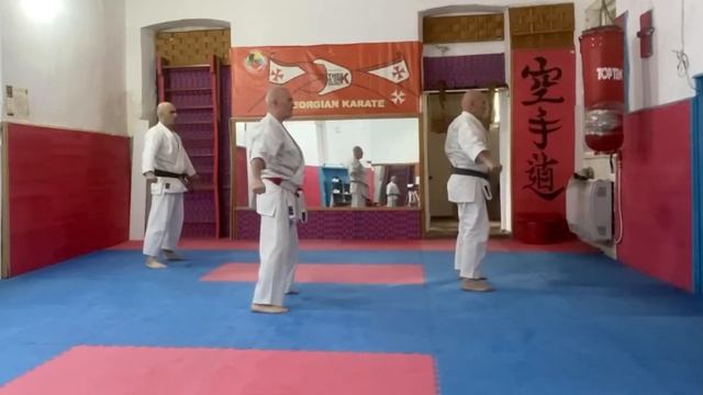 Gankaku kata WSF смотреть онлайн