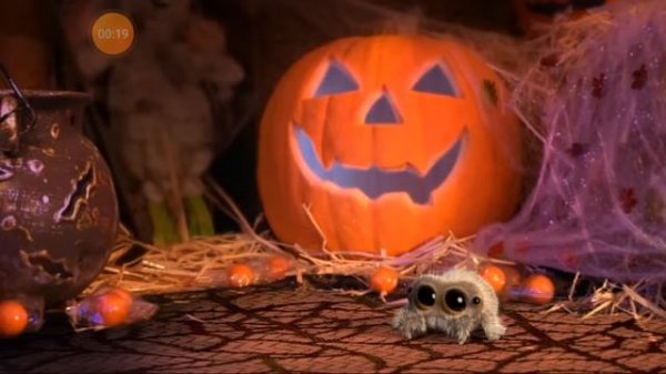 паучок Лукас наоборот