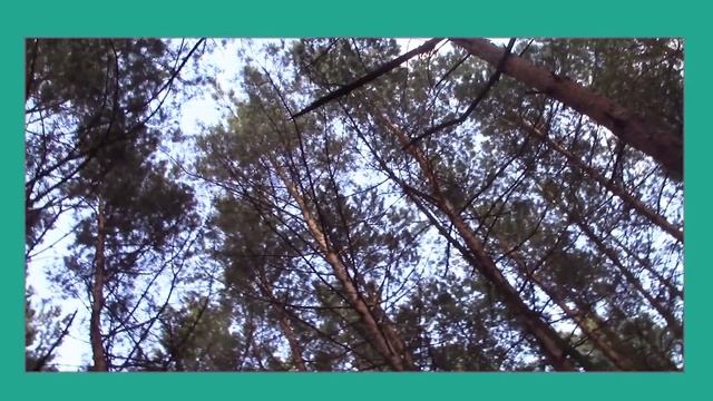 В Серебряном бору смотреть онлайн