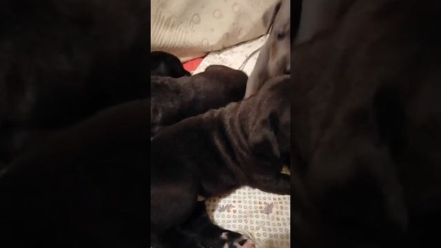 19 апреля 2022 г. смотреть онлайн