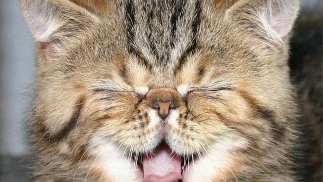 Разогнались над  спамерами