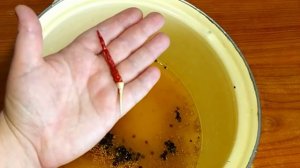 НОВИНКА!  ОГУРЦЫ ПИКУЛИ! СЭНДВИЧ ОГУРЦЫ!