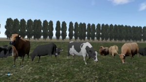 Motor Depot/Дальнобойщики.Химия и Жизнь