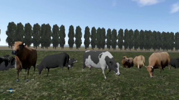 Motor Depot/Дальнобойщики.Химия и Жизнь