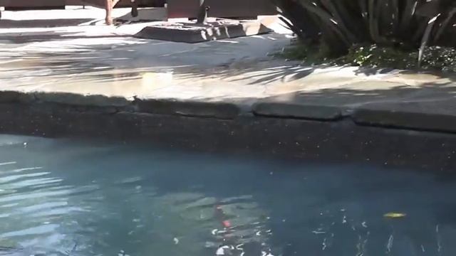 Soda Blasting Calcium Removal from Pool Tile смотреть онлайн