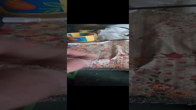 женское Cia🗽