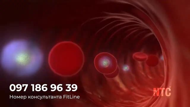 Оптимальный сет от #fitline смотреть онлайн