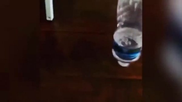 70 ТРЮКОВ С БУТЫЛКОЙ ВОДЫ  Бутылка Воды Челлендж