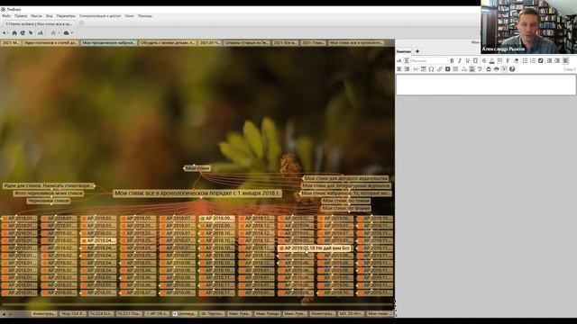 Как я использую программу TheBrain для ведения базы заметок и архива данных