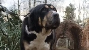 Знакомьтесь, - наши гостьи турткузы Таджикистана.