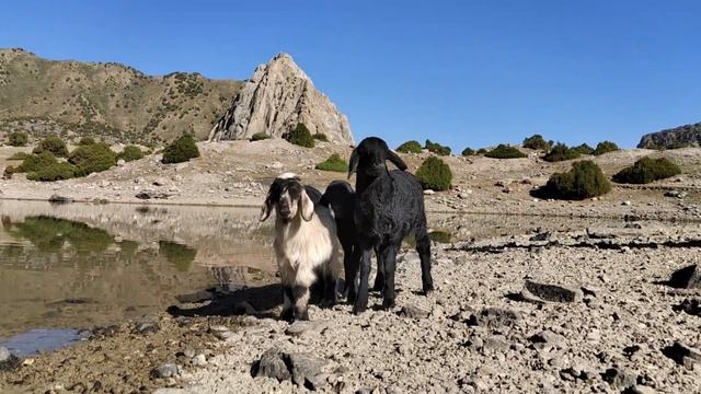 "Двойка" по Фанским горам