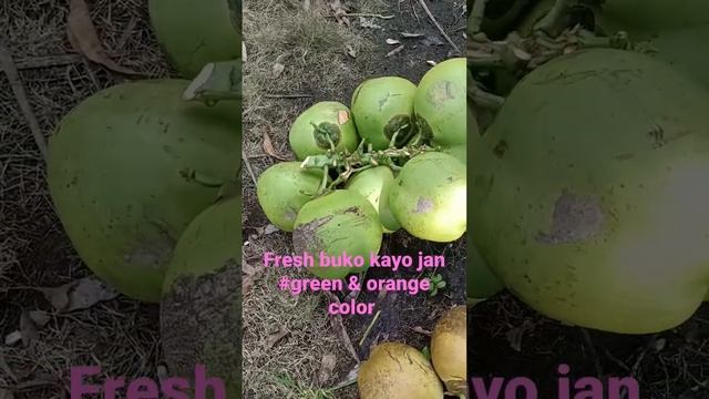 #fresh buko #shortvideo #asmr смотреть онлайн