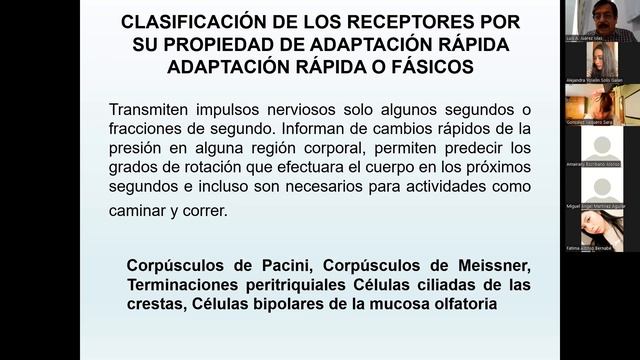 RECEPTORES GENERALES DEL SISTEMA NERVIOSO (CLASE) смотреть онлайн