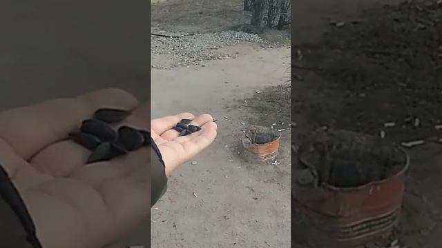 Синичка смотреть онлайн