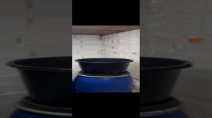 Видео отзыв Адыгея