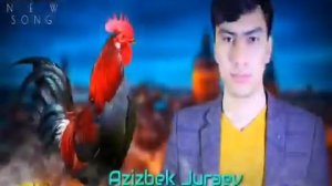 Азизбек  Чураев  точи хуруз 2020 (туёнаи нав )#туёна