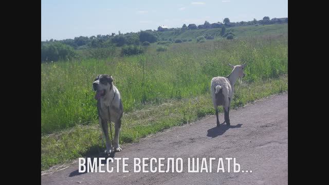 Вместе весело шагать смотреть онлайн