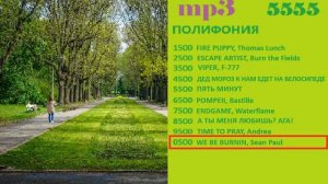 Реклама на RUSONG TV 2013 (18/30)