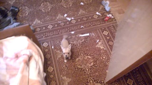 сюрприз по приходу с работы смотреть онлайн