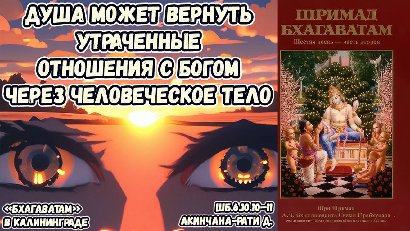 Душа может вернуть утраченные отношения с Богом через человеческое тело. Радха Винод д. ШБ 6.10.12–1