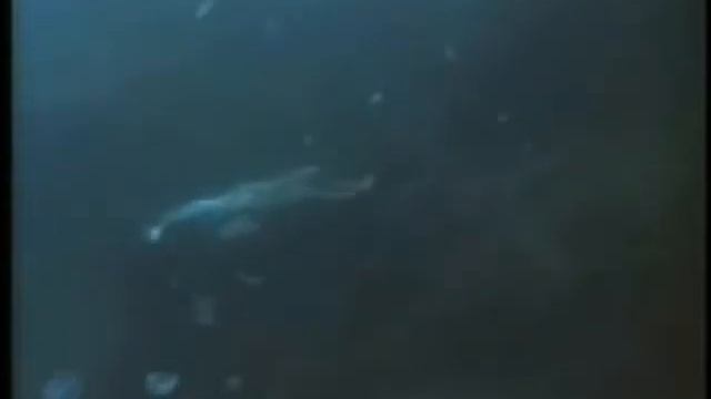 Theatre Of Tragedy - Siren