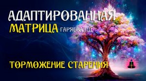 Торможение старения 🌀 Адаптированная программа матрица по технологии Гаряева ☀️ SoftRadio.ru