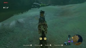 The Legend of Zelda: Breath of the Wild Святилище Ха-Дамар прохождение #5