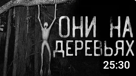 они на деревьях.. страшные истории на ночь. смотреть онлайн
